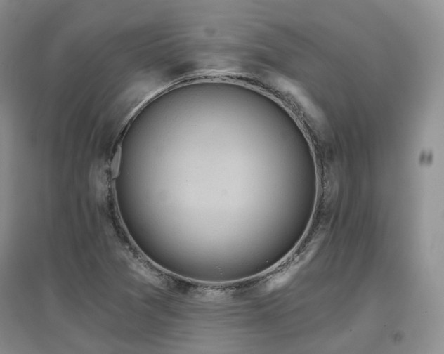 X0000097651361200802291440