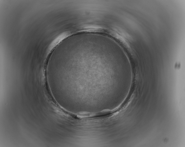 X0000097651362200802291440