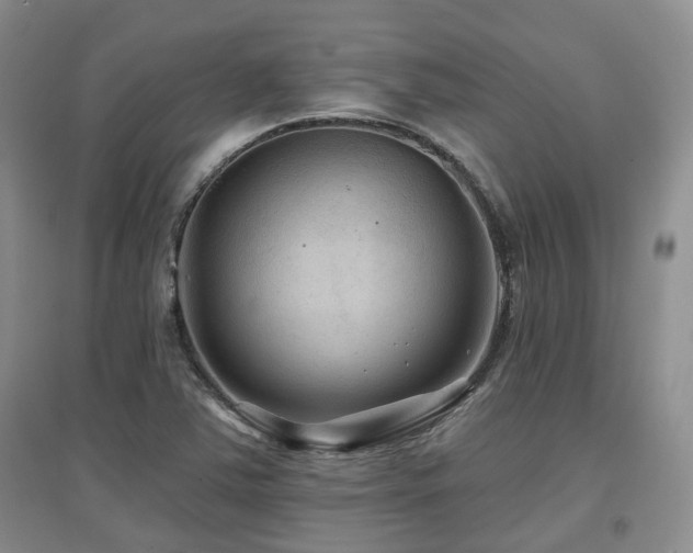 X0000097651363200802291440