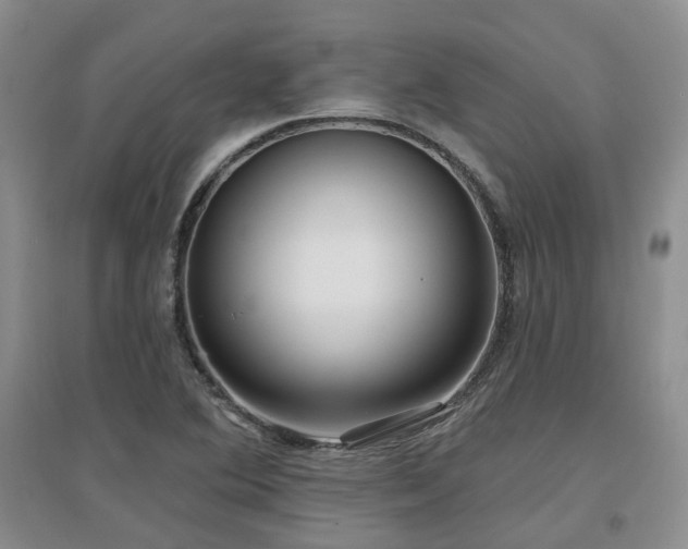 X0000097651364200802291440