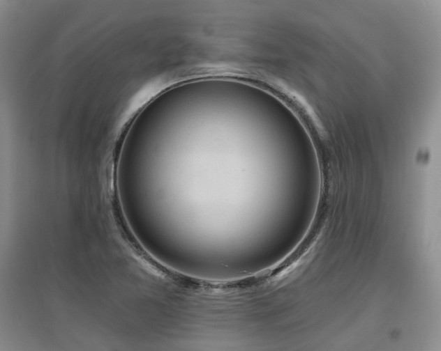 X0000097651365200802291440