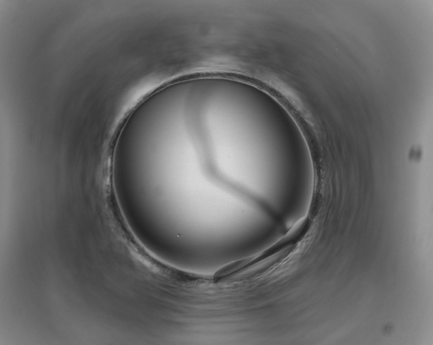 X0000097651366200802291440