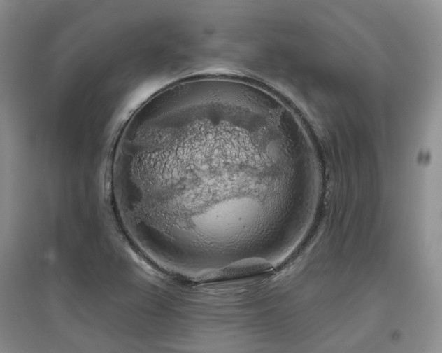 X0000097651367200802291440