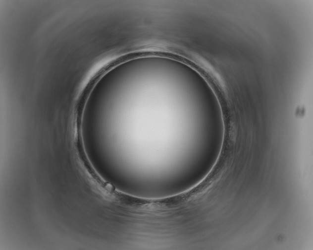 X0000097651368200802291440