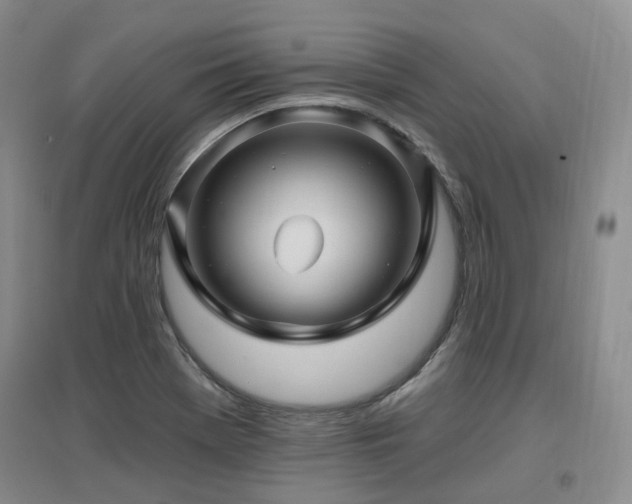X0000097651369200802291440