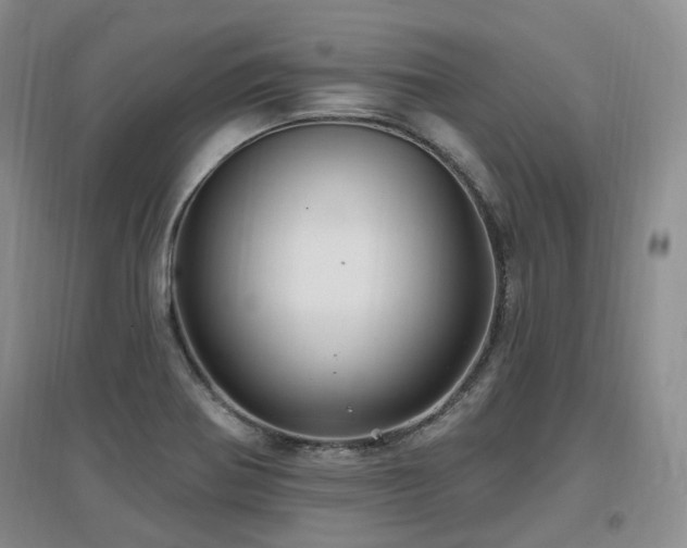 X0000097651370200802291440