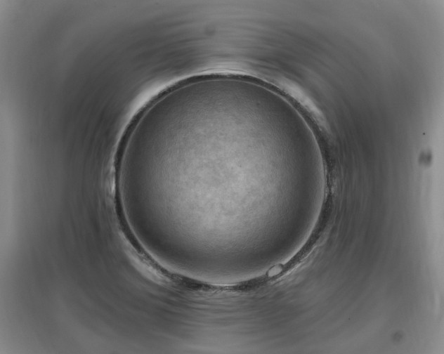 X0000097651372200802291440