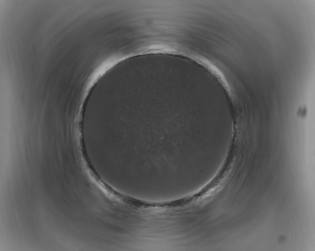 X0000097651373200802291440