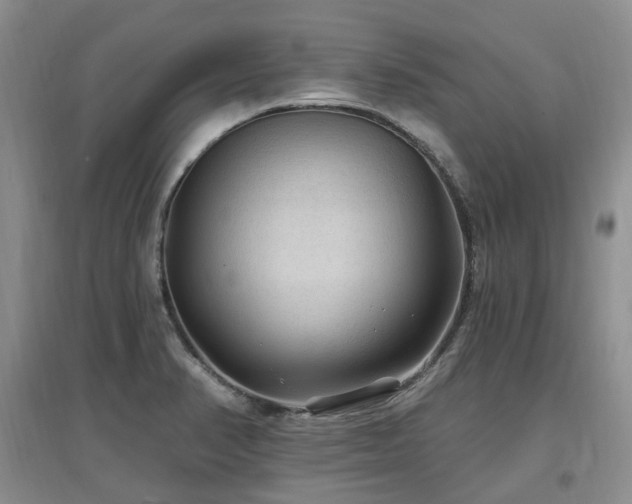 X0000097651374200802291440