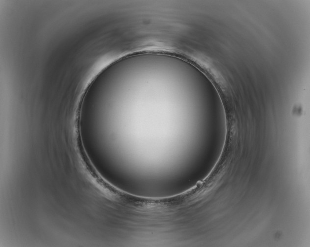 X0000097651375200802291440