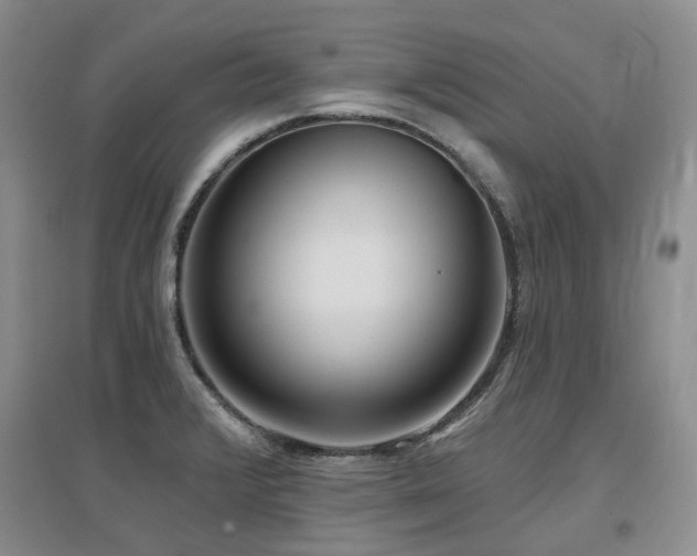 X0000097651376200802291440