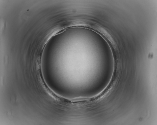 X0000097651377200802291440
