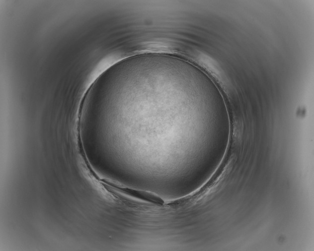 X0000097651378200802291440