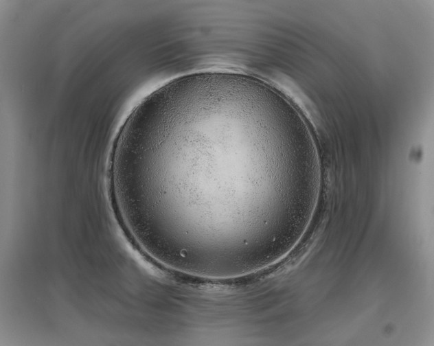 X0000097651379200802291440
