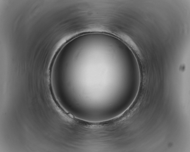 X0000097651380200802291440