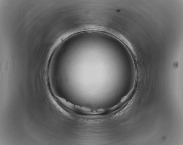 X0000097651381200802291440