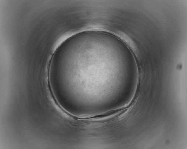 X0000097651382200802291440