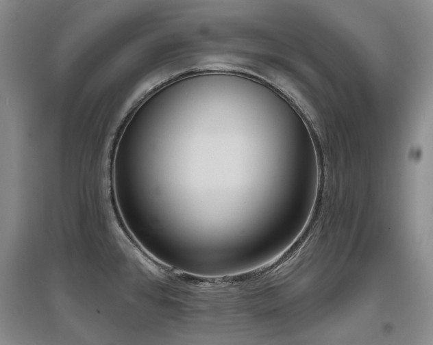 X0000097651384200802291440