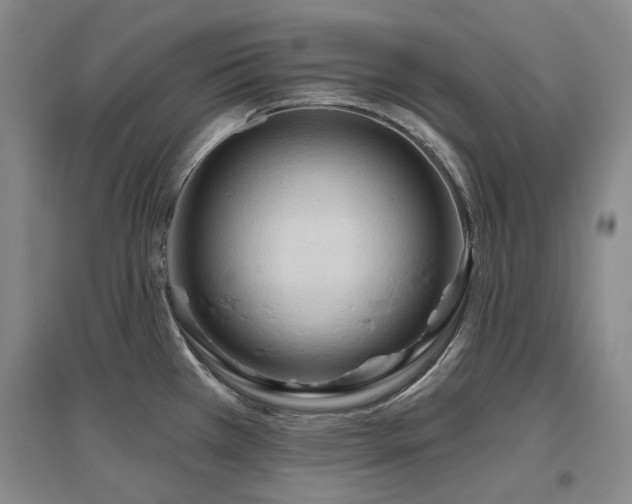 X0000097651385200802291440