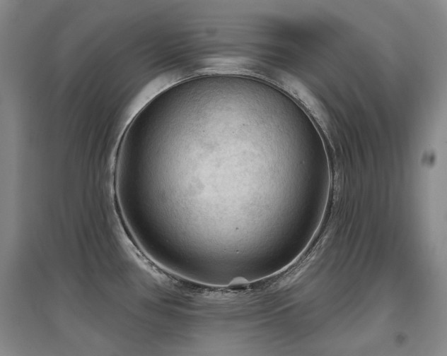 X0000097651386200802291440