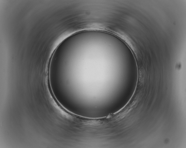 X0000097651387200802291440