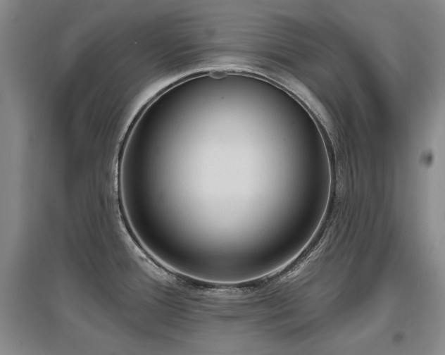 X0000097651388200802291440