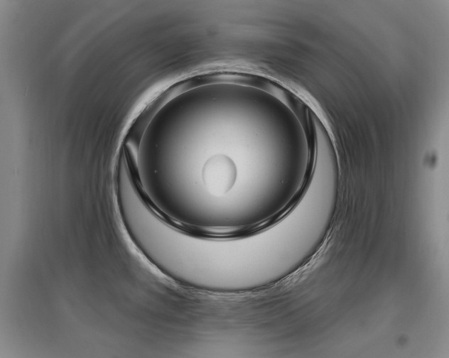 X0000097651389200802291440