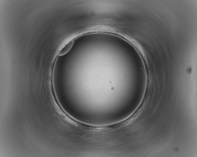 X0000097651390200802291440