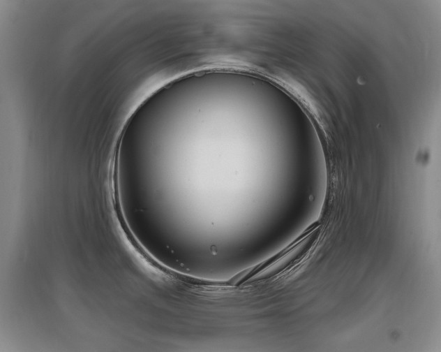 X0000097651391200802291440