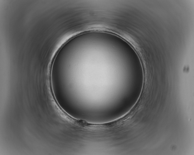 X0000097651392200802291440