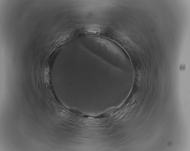 X0000097651394200802291439