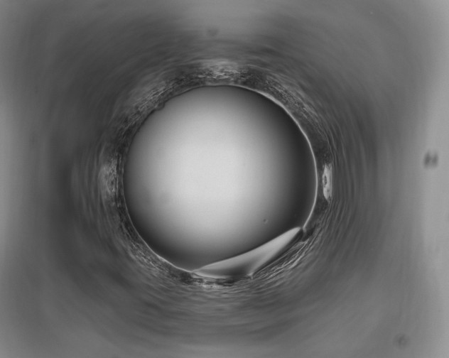 X0000097651395200802291439