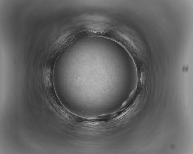 X0000097651396200802291439