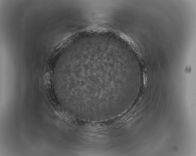 X0000097651397200802291439