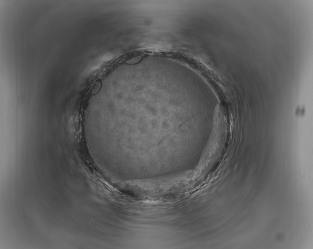 X0000097651398200802291439