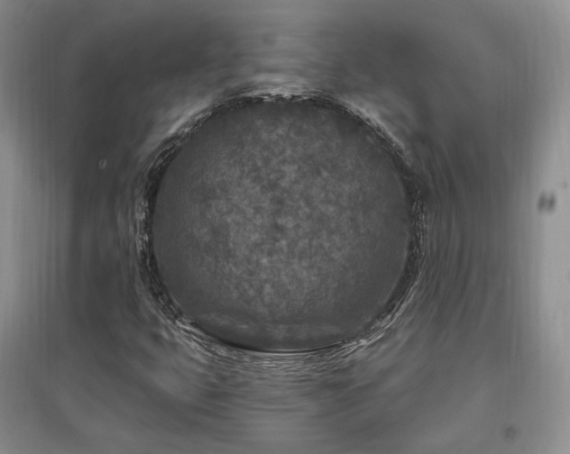 X0000097651399200802291439