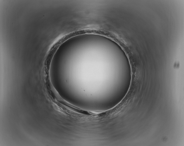 X0000097651400200802291439