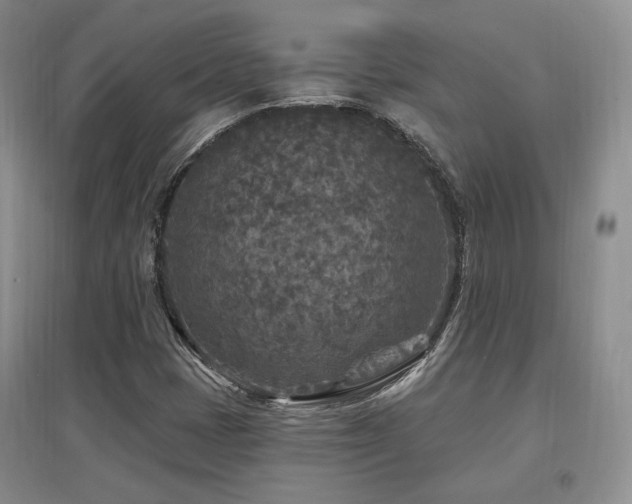 X0000097651401200802291439