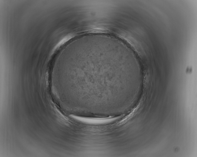 X0000097651402200802291439
