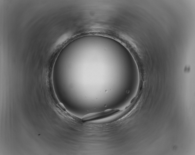X0000097651403200802291439