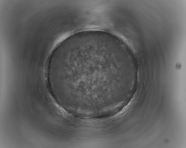 X0000097651405200802291439