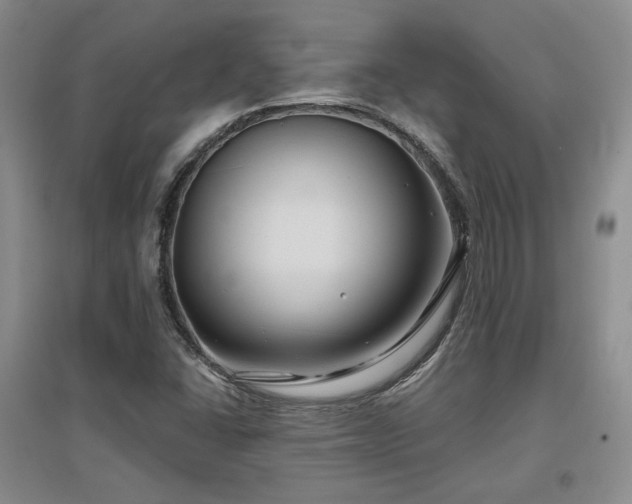 X0000097651406200802291439