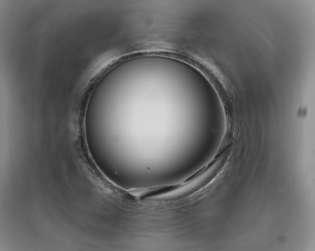 X0000097651407200802291439