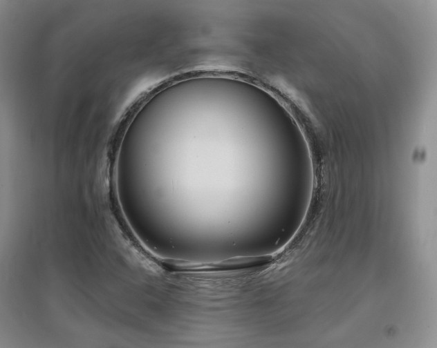 X0000097651408200802291439