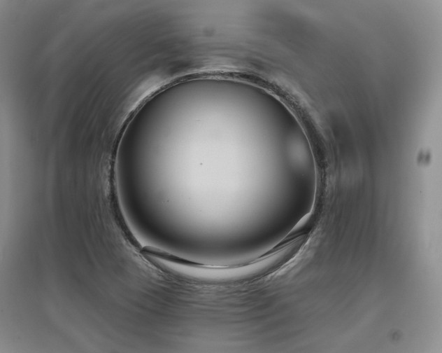 X0000097651409200802291439