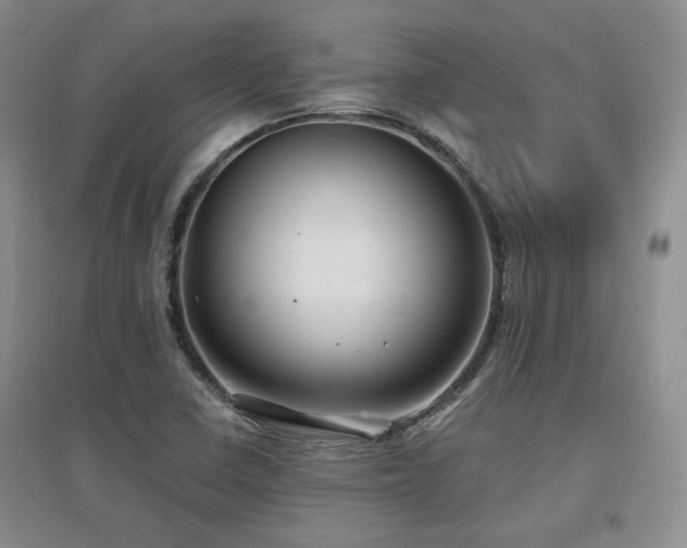 X0000097651410200802291439