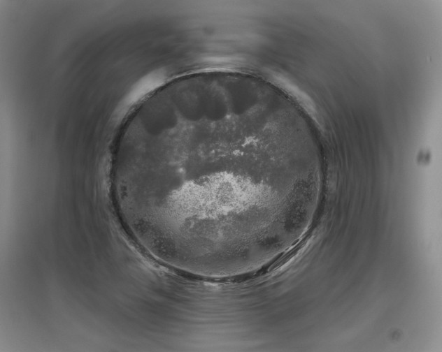 X0000097651411200802291439
