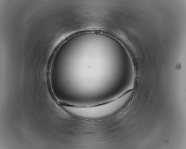 X0000097651412200802291439