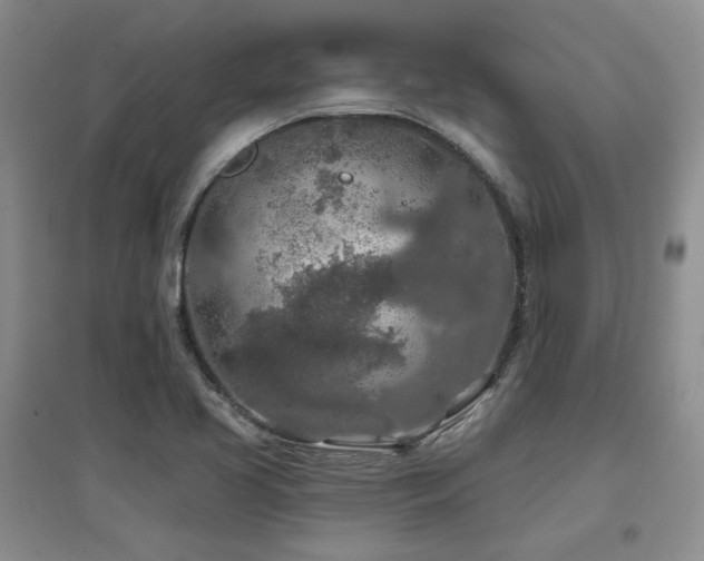X0000097651413200802291439