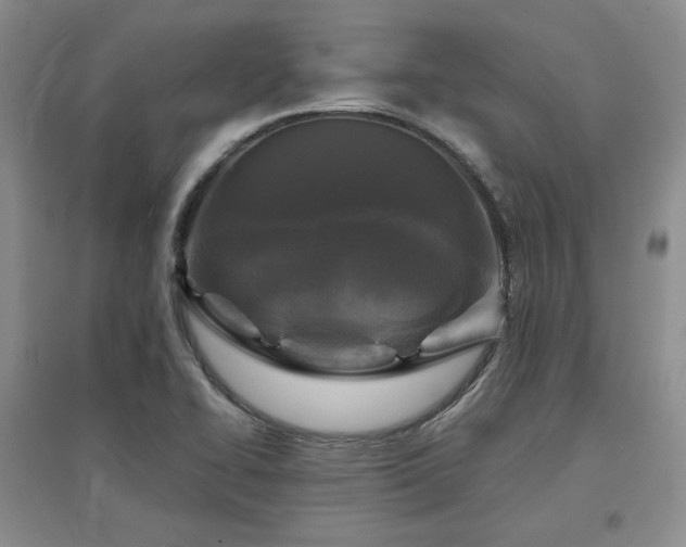X0000097651414200802291439